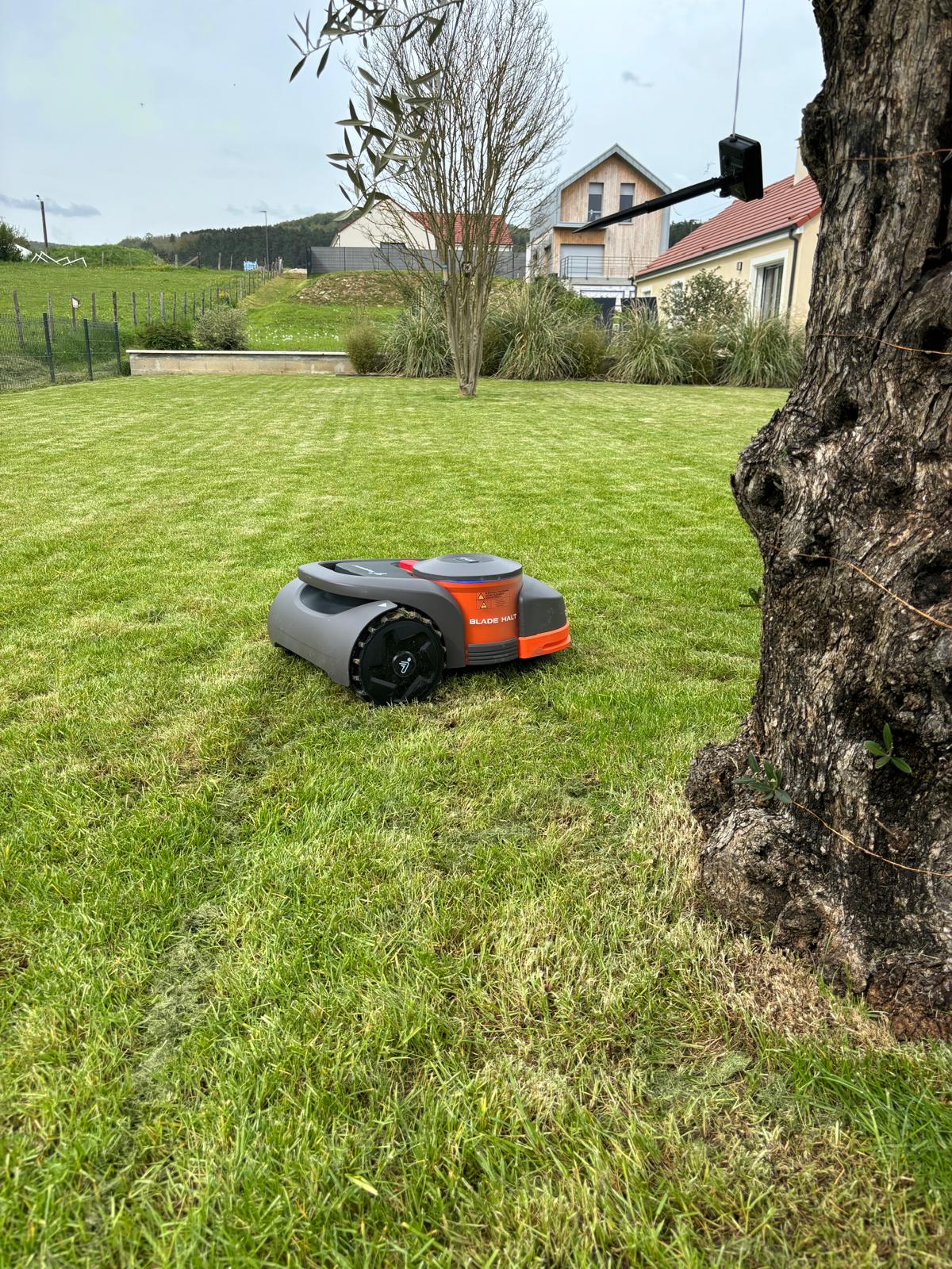 robot tondeur automatique